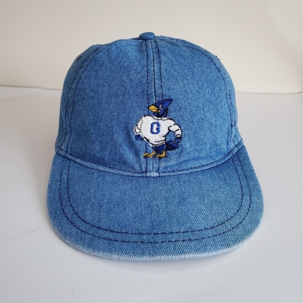 Vintage Greenwood Lab School Denim Hat